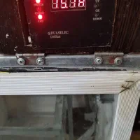 دستگاه جوجه کشی ۸۴تایی|لوازم جانبی حیوانات|بابل, |دیوار