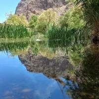 تور و گردشگری مجازی