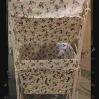 سبد سیب زمینی پیاز ارزان فوری