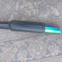 اگزوز قهرمانی