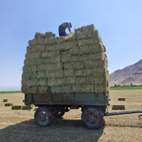 یونجه خالص بدون کودشیمیایی|خدمات باغبانی و درختکاری|ماکو, |دیوار