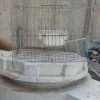 قفس پرنده