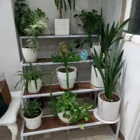 استند ۴ پله