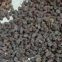 کشمش آفتابی تازه|خوردنی و آشامیدنی|ملایر, |دیوار