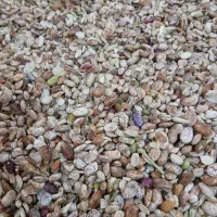 لوبیا شکسته برای دام