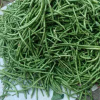 از تولید به مصرف