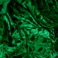 پارچه مخمل قدیمی مناسب تزئین یلدا|لباس|تهران, والفجر|دیوار