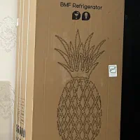 یخچال فریزر پاکشوما نو پلمپ