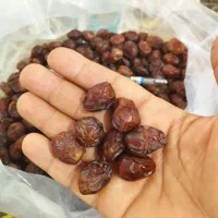 خرما خاصویی|خوردنی و آشامیدنی|کوخرد هرنگ, |دیوار