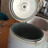 پلوپز سالم|اجاق گاز و لوازم برقی پخت‌وپز|رشت, پاستوریزه|دیوار