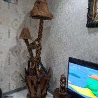 درخچه شب خواب