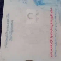 مدارک گمشده