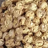 گردو درجه یک پر چرب