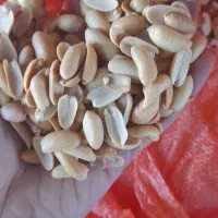 خلال بادام و بادام آجیلی|خوردنی و آشامیدنی|آستانه اشرفیه, |دیوار