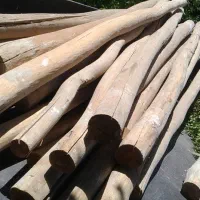 خریدار چوب خشک سقفی