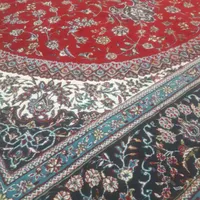 دو عدد قالی ۱۲متری|فرش|رفسنجان, |دیوار