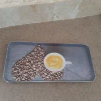 سینی تیکه ای 50
