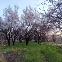 زمین550متر-داخل-طرح-روستایی