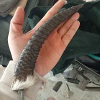 دسته چاقو آشپزخانه