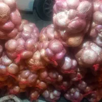 پیاز محلی سپیدان .|حراج|اهرم, |دیوار