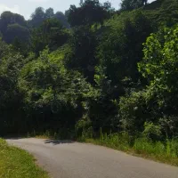 فروش-زمین-کشاورزی