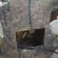 آبنما پلی‌استر|مجسمه، تندیس، ماکت|تهران, خانی آباد نو شمالی|دیوار