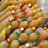 آبغوره تازه فروش ب صورت عمده