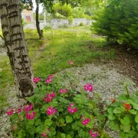 ماکلوان رهن  واحد  دربست ۱۰۰ متری|اجارهٔ خانه و ویلا|ماکلوان, |دیوار