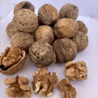 فروش گردوی باکیفیت
