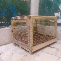 قفس چوبی