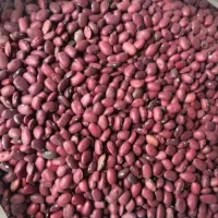 لپه و لوبیا قرمز و جوپرک درجه یک