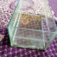 ماهی پیرانا کف خار  زبرا و آکواریوم|ماهی|تویسرکان, |دیوار