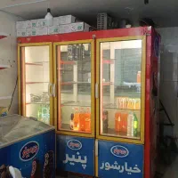 یخچال، یخچال ویترینی، یخچال صنعتی