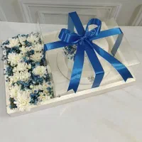 باکس کیک وگل(روزدختر)فقط و فقط|خدمات پذیرایی، مراسم|کاشان, رسالت|دیوار