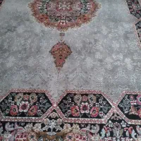 قالی|فرش|رفسنجان, |دیوار