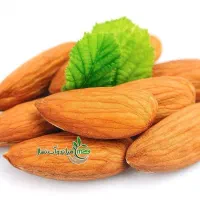 توزیع نهال بادام شمشیری یکساله به قیمت ۵۰ ت|خدمات باغبانی و درختکاری|آران و بیدگل, |دیوار