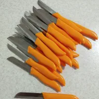 چاقو اره ای اصل فاردینوکس