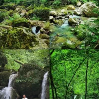 طبیعت گردی