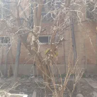 فروش ویلایی کلنگی غیر قابل سکونت در ممقان