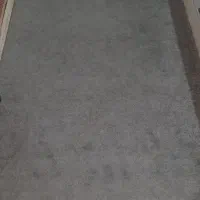 پالاز موکت نو