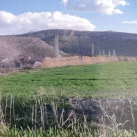 اجاره-زمین-زراعی