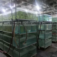 جذب نیروی کار جهت پرورش ماهی زینتی