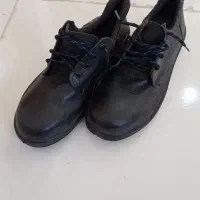 کفش ایمنی شماره ۴۳