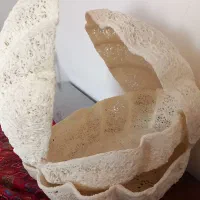 صدف تزیینی بزرگ
