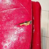 صندلی آرایشگاه سالمه جنس چرم|آرایشگاه و سالنهای زیبایی|تربتحیدریه, یحیی آباد|دیوار