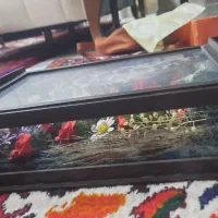 دکوری لوازم منزل|گل مصنوعی|مراغه, |دیوار