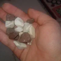 سنگ اکواریم