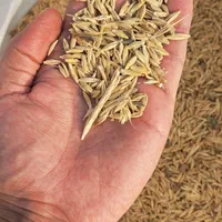 گندم و جو|لوازم جانبی حیوانات|مرودشت, رودبال|دیوار