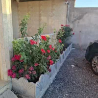 باغ-ویلا-سوسن-آبادبهترین-باغ-برای-سرمایه-گذاری
