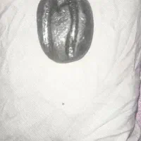 دوتا سنگ اصل|زیورآلات و اکسسوری|حمیدیا, |دیوار